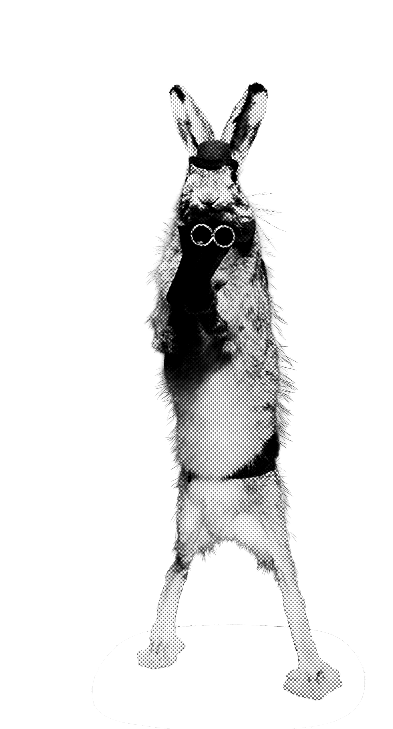 Who Should Die illustration